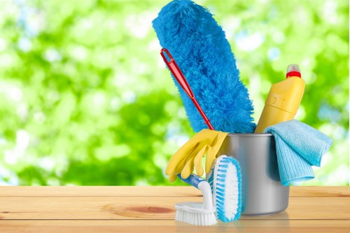 Professional carpet cleaning in a bright living room