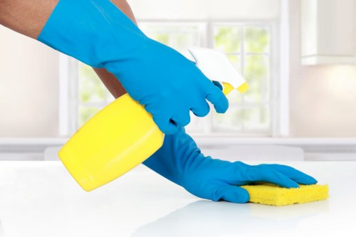 Professional window cleaning for a bright home exterior