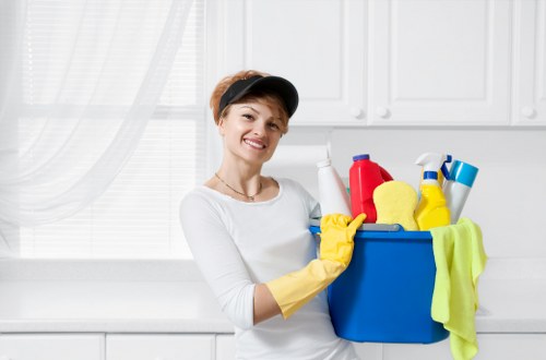 Weekly domestic cleaning routine checklist in a home