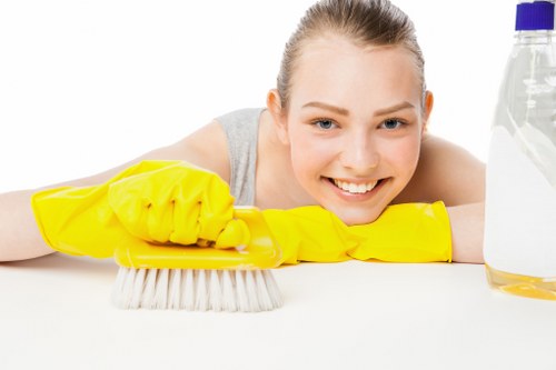 Professional domestic cleaning for a bright, organized interior