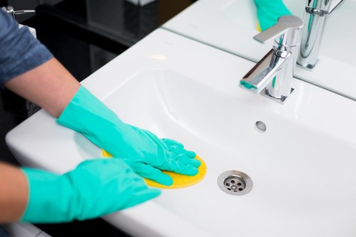 Kitchen cleaning essentials for a tidy home