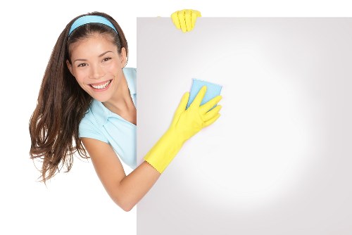 Deep cleaning specialist handling detailed household cleaning tasks